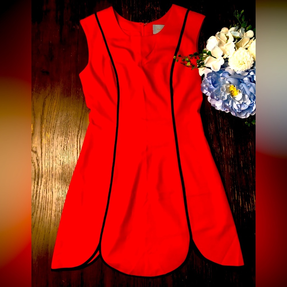 Tulip Style Red Mini Dress